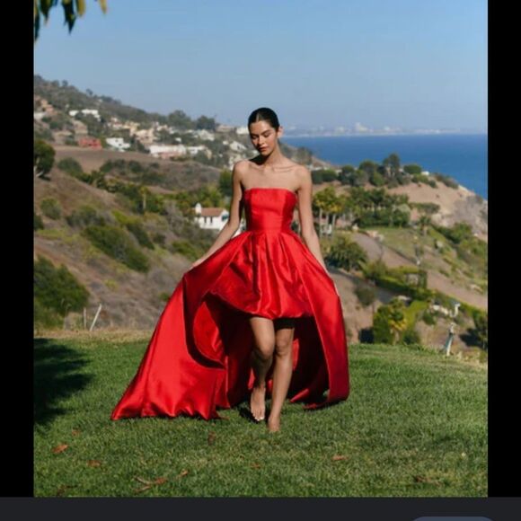 New Anthropologie Hutch Strapless High-Low Bubble Dress/ size 4P - Picture 11 of 14